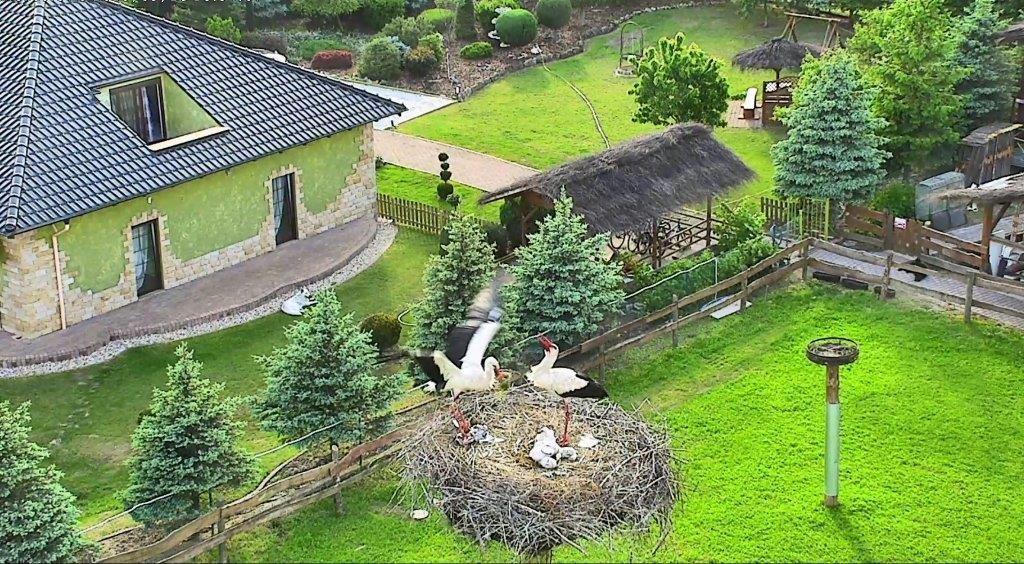 Bed & Breakfast Klekusiowo Boleslawiec (Lower Silesia)