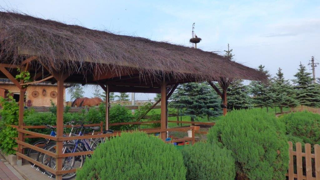 Bed & Breakfast Klekusiowo