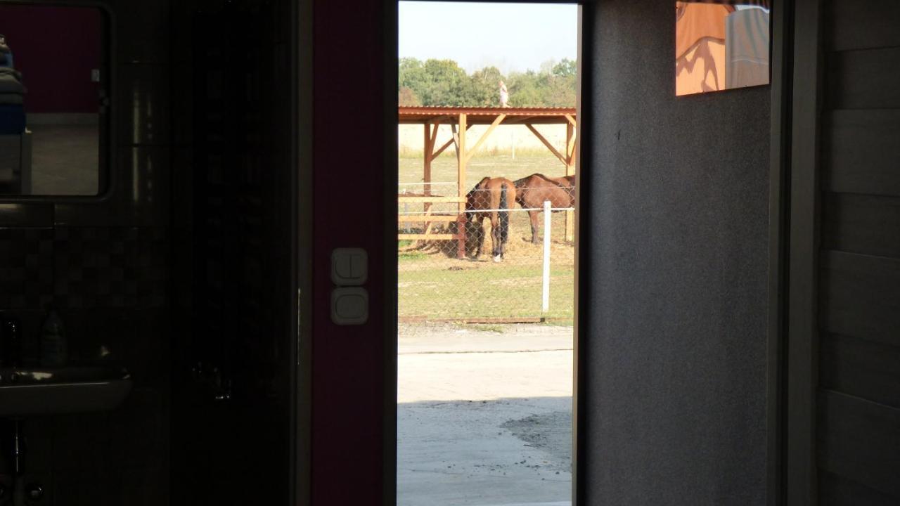 Klekusiowo Bed & Breakfast Boleslawiec (Lower Silesia)
